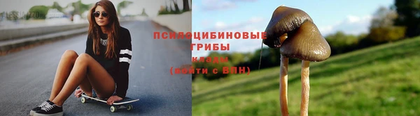 СК Магас