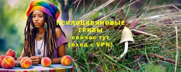 бошки Медногорск