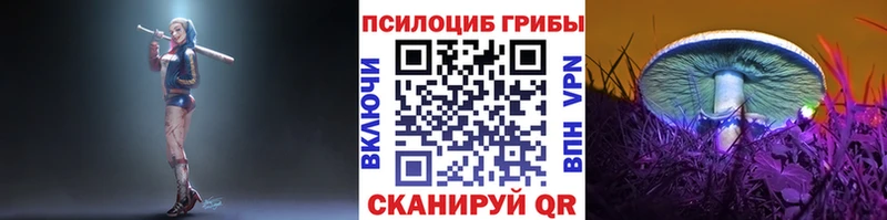 Галлюциногенные грибы Cubensis  Советский 
