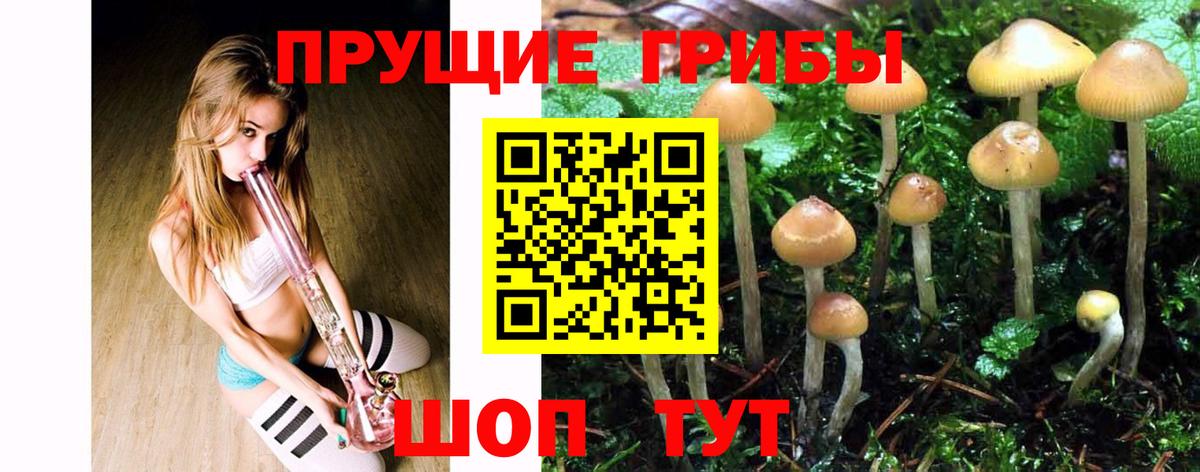 Советский  Псилоцибиновые грибы мухоморы  Вход с VPN 